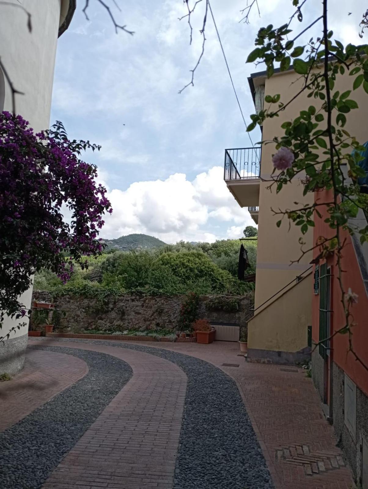 Al Vigneto Apartment Sestri Levante Exterior photo